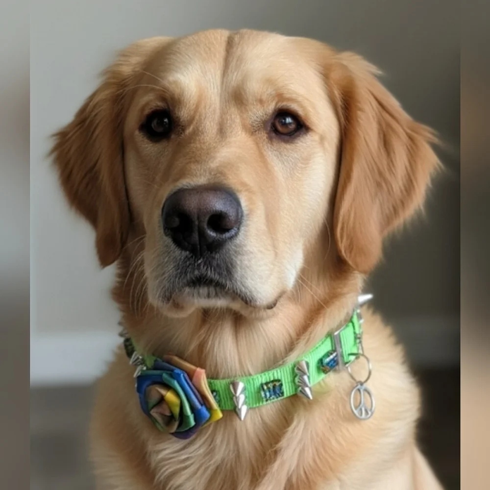 Dog Collar PSYCHEDELIC Neon Green Flower Bow Gems And Stones